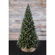 Триумф ель Женева c шишками 260 см заснеженная